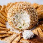 Cream Cheese and Green Onion Cheese Ball with Pecans Recipe