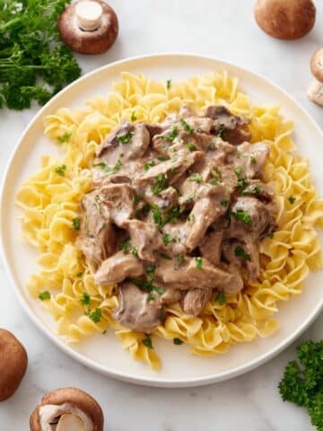 Beef Stroganoff Recipe with Mushrooms in Rich Sour Cream Gravy Recipe