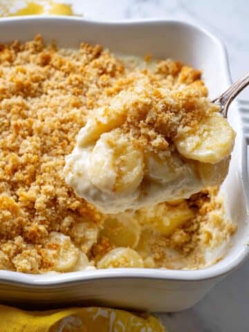 Classic Squash Casserole Recipe