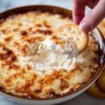 Hot Onion Dip Recipe