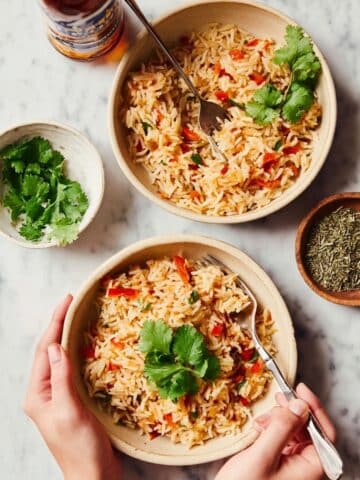 Easy Spanish Rice Recipe