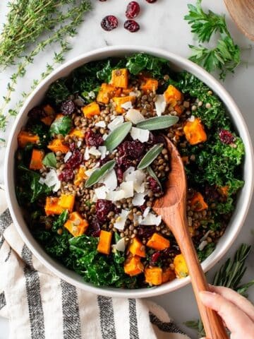 Wheat Berry Salad with Roasted Butternut Squash, Sage, and Cranberries Recipe