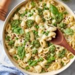 Pesto Havarti Macaroni Recipe